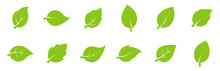 Leaves Collection. Green Leaves Flat Icon Set. Vector Illustration.