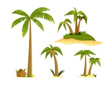 Set With Palm Trees. Vector Illustration With Isolated Design Elements On White Background
