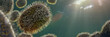 Monkeypox viruses, contagious microscopic pathogen closeup, infectious zoonotic disease, background banner format with empty space