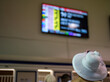 An attendee at a horse race, wearing a fancy hat before placing a wager.