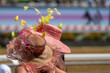 A couple of attendees at a horse race, wearing fancy hats.