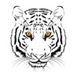Vector tiger head on a white background