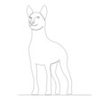 © zolotons - dog drawing in one continuous line, isolated, vector