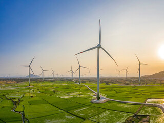 Wall Mural - Landscape with Turbine Green Energy Electricity, Windmill for electric power production, Wind turbines generating electricity on rice field at Phan Rang, Ninh Thuan, Vietnam. Clean energy concept.