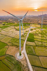 Wall Mural - panoramic view of wind farm or wind park, with high wind turbines for generation electricity with co