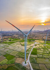 Wall Mural - panoramic view of wind farm or wind park, with high wind turbines for generation electricity with co