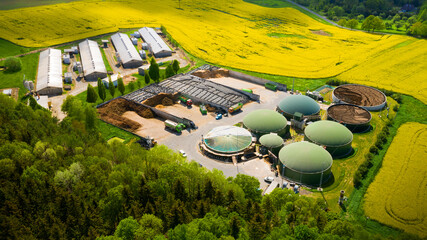 biogas plant and farm in blooming rapeseed fields. renewable energy from biomass. aerial view to mod