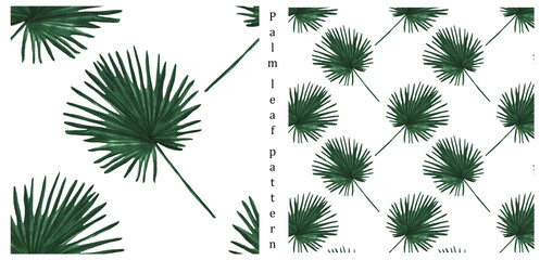 Wall Mural - Palm leaves, tropical leaf on white background, watercolor botanical illustration. Seamless patterns.