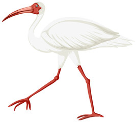 Sticker - American white ibis isolated