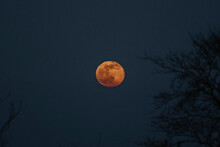Full Blood Moon In Dark Night Sky, Sheffield, South Yorkshire, England
