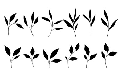 Set of 12 fantasy plants. Hand drawn botanical elements on white background. Vector illustration. Vector illustration