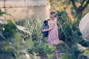 cute toddler kid girl with big watering can waters beds in garden in summer, helping children in garden and child taking care of plants. Montessori outside and natural gardening