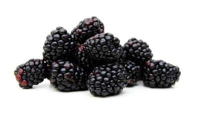 Wall Mural - Blackberry, isolated on white