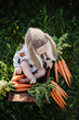 cute baby boy in a long ears knitted bunny hat with carrots in a garden
