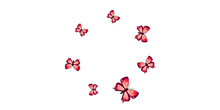 Magic Red Butterflies Isolated Vector Background. Summer Little Moths. Decorative Butterflies Isolated Girly Illustration. Tender Wings Insects Patten. Garden Creatures.