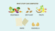 Compost stuff item infographic. what to compost things like vegetables, fruits, paper, yard debris and egg shells. Composting illustration in flat style, vector illustration. 