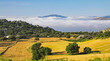 Beautiful calm rural yellow green landscape valley, sea of low layer morning stratus clouds, golden agriculture fields, green trees, Axarquia, Montes de Malaga, Spain