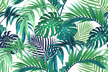 Seamless Hand Drawn Tropical Vector Pattern With Monstera Palm Leaves.
