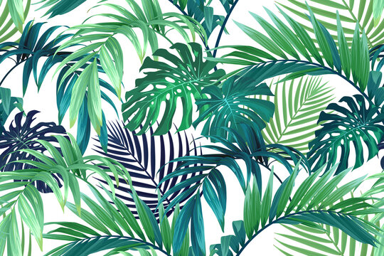 seamless hand drawn tropical vector pattern with monstera palm leaves.