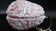 Neuroscience in human brain, a concept showing hundreds of crucial words related to Neuroscience projected onto a cortex to fully demonstrate broad extent of this condition,3d illustration