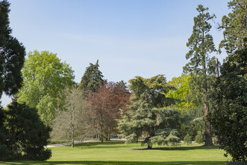 Wall Mural - Parc du Thabor à Rennes