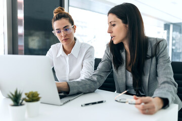 Two business women working together with computer while talking about work in the office.