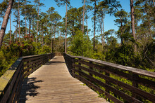 Bike Trail And Walking Trail Over The Boardwalk Bicycle Trails Within Gulf State Park, Gulf Shores, Alabama