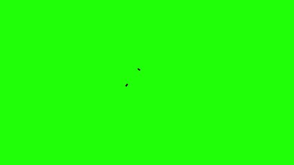 Poster - Loading Icon Animation 4K Green Screen, Seamless loop modern loading icon