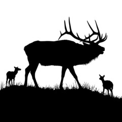 Wall Mural - A vector silhouette of a large male bull elk bugling.