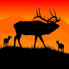 A vector silhouette of a large male bull elk bugling.