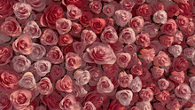 Red, Elegant Wall Background With Roses. Colorful, Floral Wallpaper With Vibrant, Beautiful Flowers. 3D Render