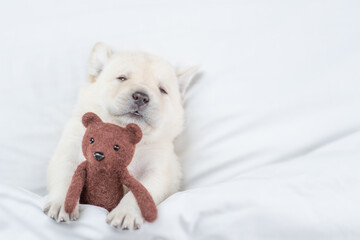 Poster - Golden retriever puppy hugs toy bear on a bed at home before bedtime. Top down view. Empty space for text