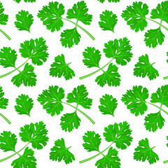 Seamless pattern with cilantro leaves. Herbs.
