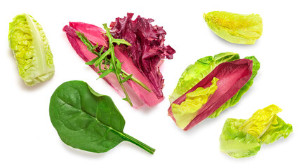 Wall Mural - Pattern with fresh salad leaves. Mix of Spinach, cos lettuce, rucola  and radicho isolated on the white background. Top view. Flat lay. Panorama