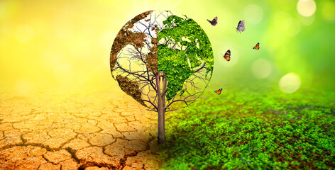 Wall Mural - tree in two with very different environments earth day or world environment day global warming and p