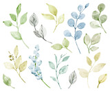 Fototapeta Kwiaty - Leaves watercolor set. Hand painting floral botanical illustration. Leaf, plants, herb, foliage, branches isolated on white background.