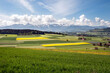 Gantrisch, Aaretal, zwischen Bern und Thun. Landschaft, Landwirtschaft, Felder und Wiesen, Rapsfeld, Raps, Gebirgskette, Gurnigel, Schweiz