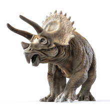 Triceratops Dinosaur On White Rendering 3d Rendering