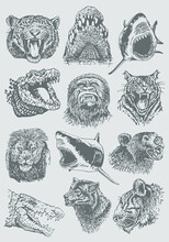 Graphical  Big Set Of Grey Heads Of Animals With Grins ,vector Elements