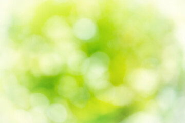 Canvas Print - Green blur abstract nature background