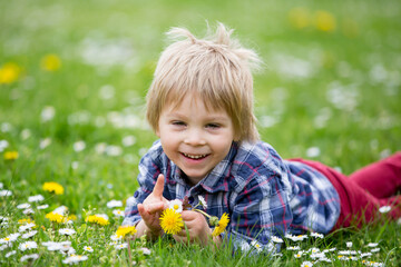 Wall Mural - Beautiful toddler blond child, cute boy, lying in the grass