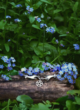 Beautiful Blue Forget Me Not Flowers And Wiccan Amulet With Pentagram On Dark Green Natural Background Close Up. Spring Summer Floral Season Concept. Atmosphere Romantic Natural Image