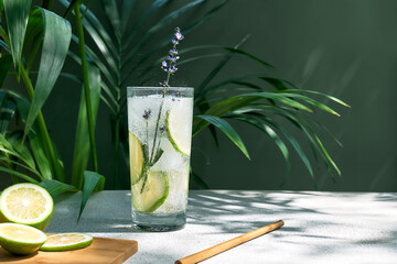 Cool lavender lemonade with lime slices and lavender flower on the table near dark green wall and palm leaves. Healthy organic summer soda drink. Detox water. Diet unalcolic coctail.