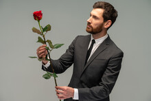 Portrait Of Bearded Brunette Man Standing, Holding Rose Red Flower And Smiling In Front Of The Camera. Indoor Studio Shot Isolated On Grey Background