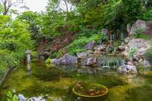 Japanese Area At The Botanical Garden Of Rome, Italy.