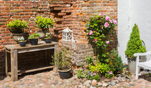 Flowers And Plants In Front Of An Old Brick Wall In Harderwijk, Netherlands