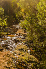 Canvas Print - De LAs Animas Mountain Range, Uruguay