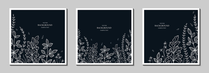 Wall Mural - floral vector templates with leaves, plants. natural elements. set of dark plant backgrounds for hol