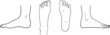 Human foot top back inner outer view vector illustration, male female anatomy line art