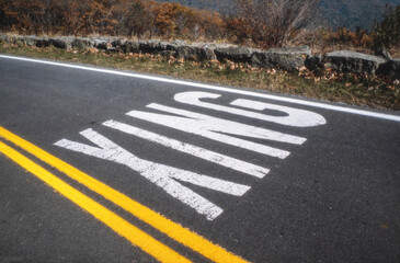 Wall Mural - Cattle xing. Shenandoah Park Virginia USA. Road.